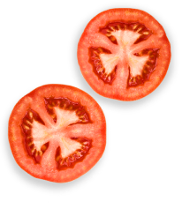 Popa Pizza cheese pizza Atlantic City NJ