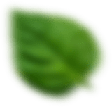 Popa Pizza Atlantic City restaurant